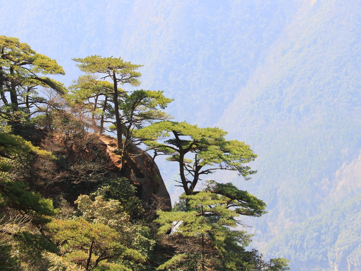 五岳归来不看山,黄山归来不看岳