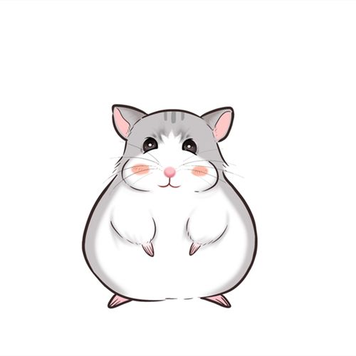手绘宠物头像定制q版卡通猫猫狗狗设计动物约稿仓鼠插画纪念照片