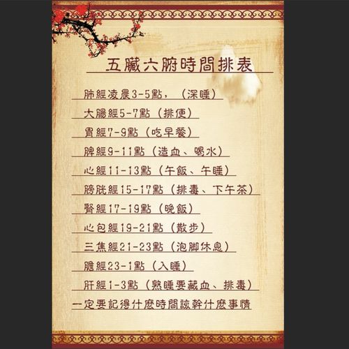 中医养生挂图五脏六腑时间排表作息人体穴位图全身大挂图经络家用
