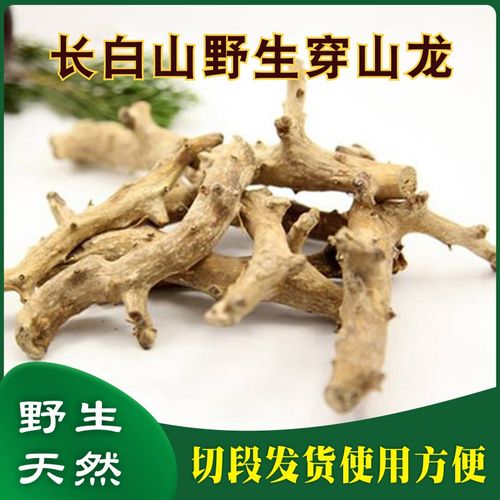 东北野生穿山龙穿地龙中药材草药野生500g串地龙骨泡酒天然