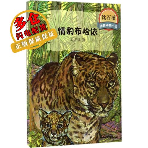 情豹布哈依 沈石溪 著 儿童文学