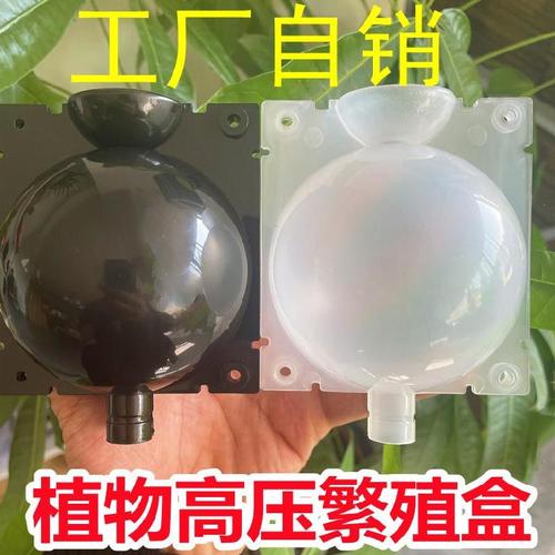 高空压枝盒植物高压繁殖球嫁接包在树上圆形树苗高位根器工具球