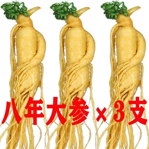 【正宗长白山人参】新鲜湿参保鲜参东北特产人参酒滋补药材泡酒参