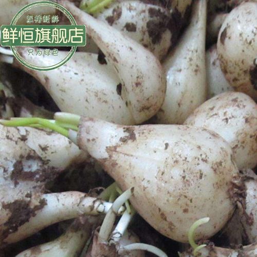 野生大教头无叶去根5斤装包邮藠头新鲜茭头农家自种鲜生荞头叫头