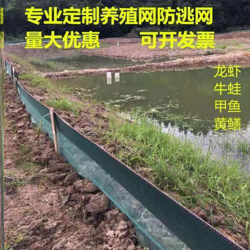 定做养殖防逃网甲鱼龙虾池泥鳅育雏黄鳝螃蟹防护栏围栏网乌龟拦网