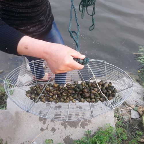 捕田螺 捞螺丝 捉螺丝网 抓田螺 拖河蚌 蚬子 捕蚶子 篮子工具 60cm