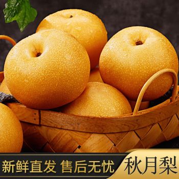 山东秋月梨 羊脂秋月冰糖梨皮薄脆甜 新鲜现摘产地直发汁水丰富梨子