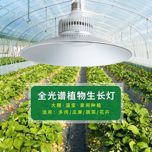 植物灯全光谱育苗补光灯室内家用多肉大棚蔬菜花卉番茄植物生长灯