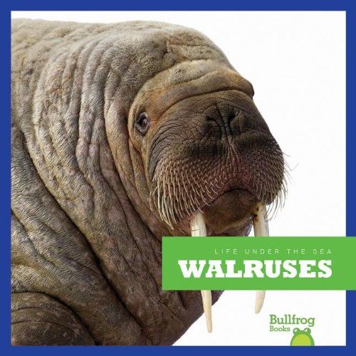 【预订】walruses
