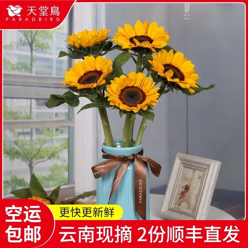 向日葵鲜花花束太阳花云南基地鲜花直发速递同城直批