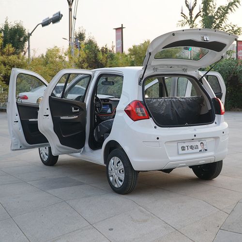 雷丁d80四轮电动车成人新能源老年代步轿车油电两用家用电瓶车