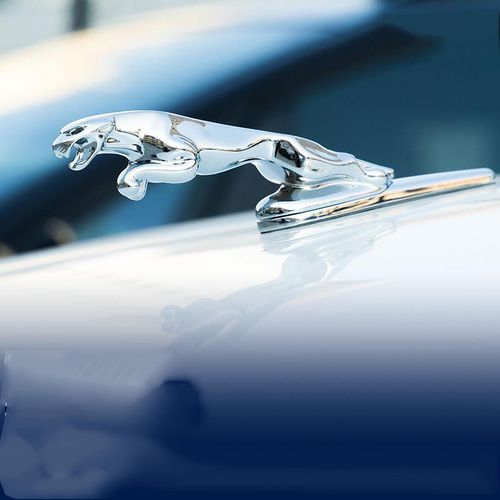 大号捷豹立标金属标xfl改装 xjl xfxe机盖车头标引擎盖标车标