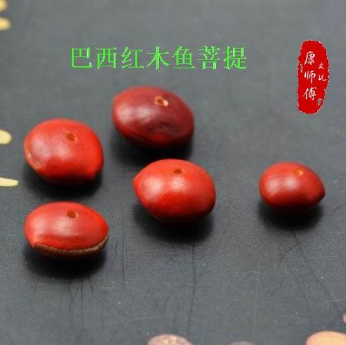 巴西红木鱼果菩提 红木鱼菩提 血木鱼菩提巴西木鱼果 血菩提