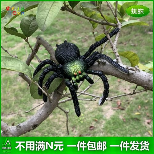 仿真软胶大蜘蛛吓人整人恶搞玩具园艺花草树木装饰动物模型假蜘蛛