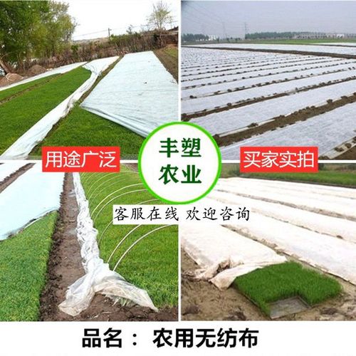 水稻育苗保水无纺布烟草园林草坪绿化育苗蔬菜覆盖防虫透气农业布