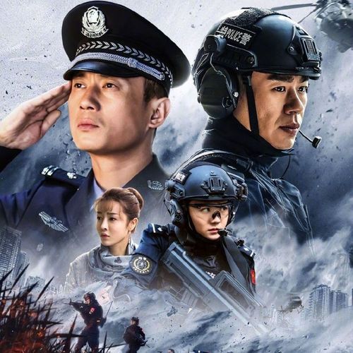 2020警匪战旅【功夫战警】徐佳,于震,牟星,dvd碟片电视剧