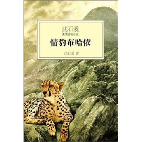沈石溪激情动物小说:情豹布哈依