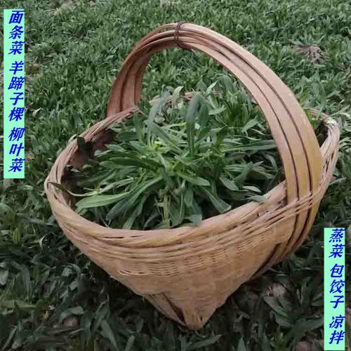 野菜新鲜面条菜新鲜羊蹄子棵柳叶菜玉瓶草麦石榴棵蒸菜河南野菜