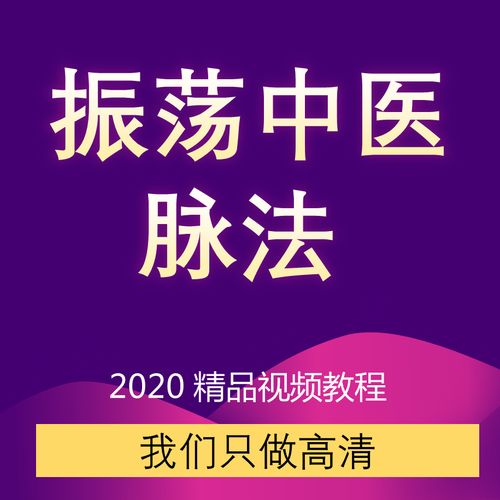 振荡中医视频王永民中医正骨推拿按摩针灸教学视频录像资料课程