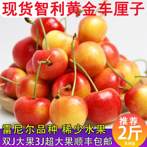 真果沁 智利黄车厘子进口雷尼尔黄金车厘子现货新鲜孕妇水果礼盒装包