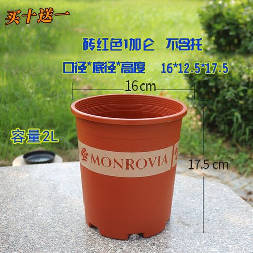 阳台种花种菜园艺月季花盆 红色1加仑单盆  大
