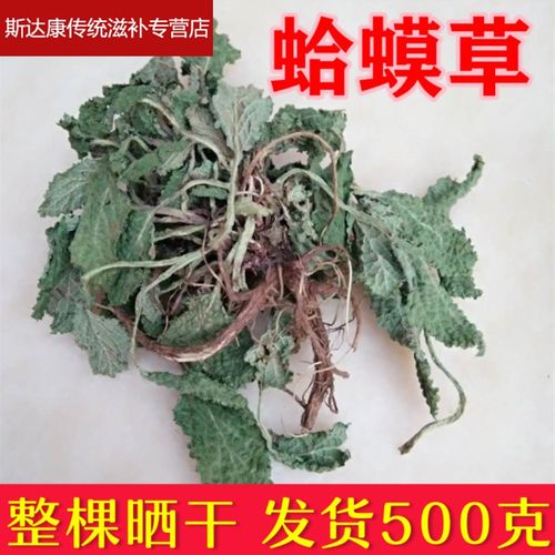 伟博6765精选蛤蟆草 荔枝草 雪见草 青蛙草 癞蛤蟆草 干蛤蟆草