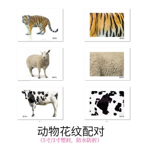 动物花纹配对 动物皮肤配对卡片自闭症孤独症发育迟缓语言aba教材