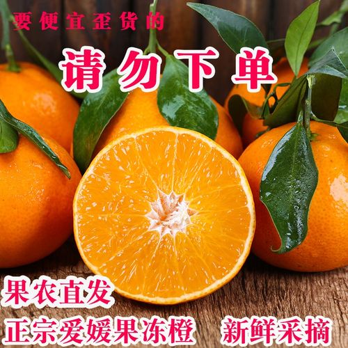 正宗爱媛38号果冻橙爱园爱嫒现摘橙子新鲜柑橘四川眉山红美人大果