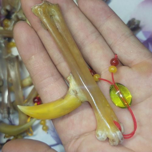 鸡爪骨手把件鸡蹬骨子鸡爪骨把件老鸡拐子抓钱手公鸡爪子文玩盘玩