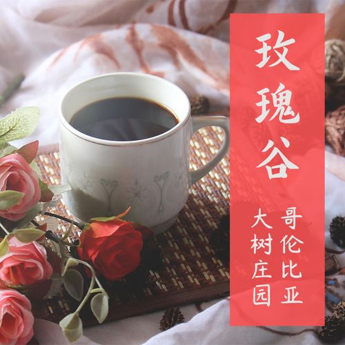 玫瑰谷 单品 大树庄园厌氧酵素水洗浅度烘焙冷萃手冲熟咖啡豆100g