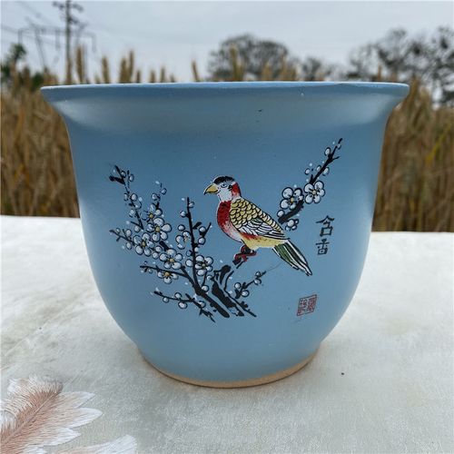 花盆君子兰花盆陶瓷简约花盆创意家用 蓝喜鹊 口径约23cm(两个的价格)