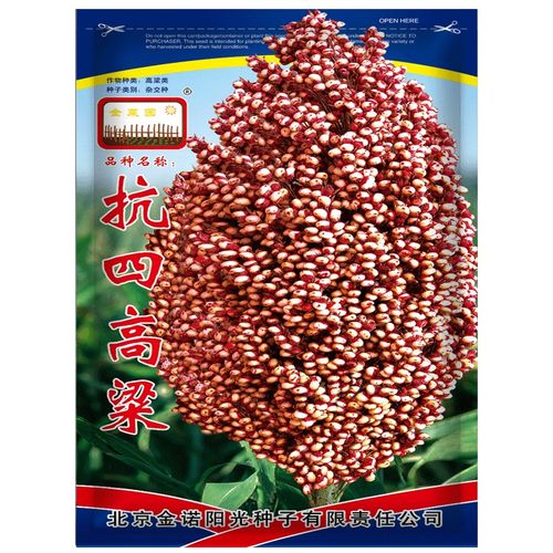 凤鸣雅世  甜高粱种子八棵杈好吃高粱种子酿酒高粱种籽红缨子高产矮杆
