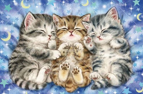 三只小猫 新款十字绣 新款 动物 客厅卧室挂画 精准印花