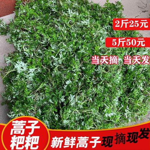 2021年新鲜野生蒿子叶 蒿子粑粑原料 安徽桐城特产蒿子1000克包邮