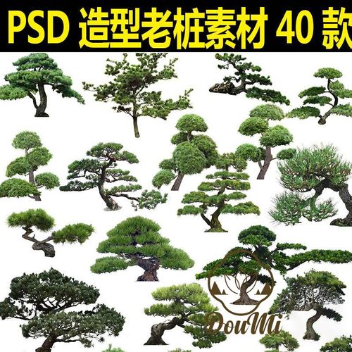 罗汉松三角梅红梅榕树老桩造型松树园林景观psd分层高清ps素材