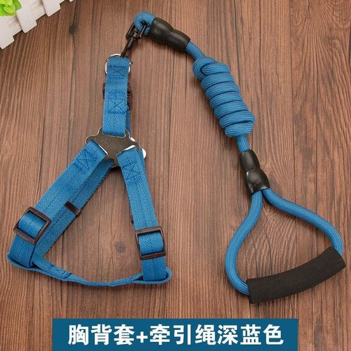 小型牵引绳中大a型猫咪泰迪犬遛狗绳狗狗项圈脖圈遛狗