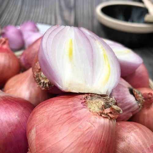 2019年新葱 东北毛葱小毛葱带箱5斤  新鲜蔬菜