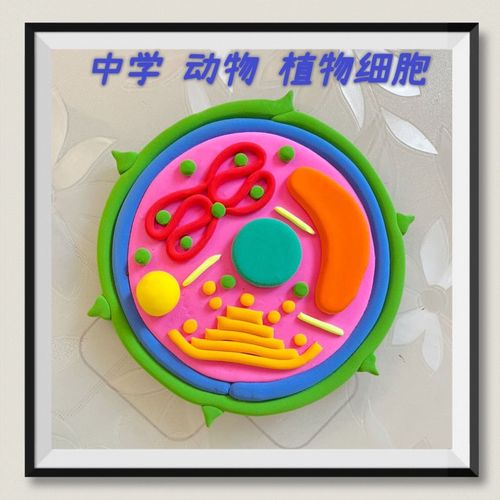 生物细胞模型手工动物植物真核细胞器材料包成品魔法