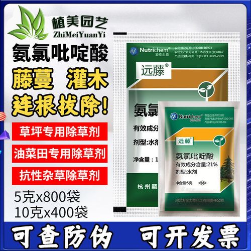 远藤氨氯吡啶酸玉米小麦油菜草坪森林灌木阔叶杂草烂根农药除草剂