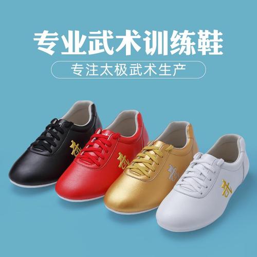 武士龙太极鞋儿童武术鞋软牛筋底训练鞋功夫鞋太极拳练功鞋男春夏
