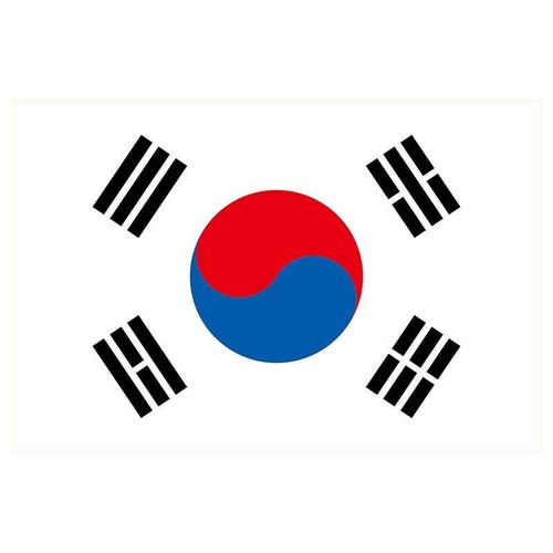 韩国国旗1 2 3 4 5 6 78号外国旗帜世界各国国旗万国旗国旗俄罗斯