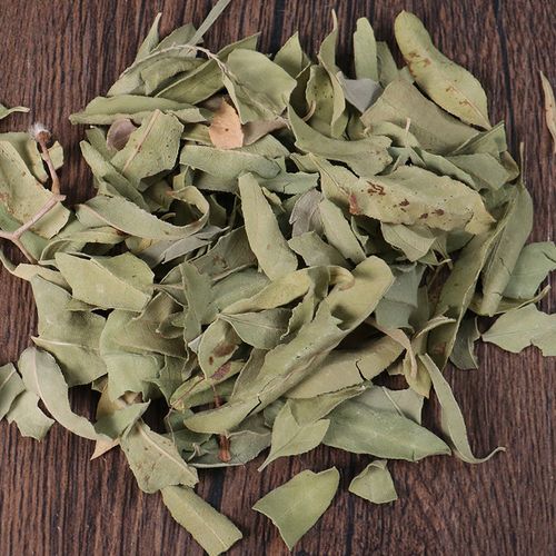 罗布麻中药材头茬西爵新疆罗布麻茶新芽萝卜麻叶罗布麻叶 罗布麻叶