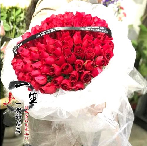 郑州鲜花店速递111朵红粉白香槟紫蓝玫瑰鲜花束同城送花上门