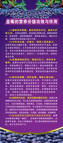 744海报印制展板写真喷绘贴纸601蓝莓的营养价值功效与作用