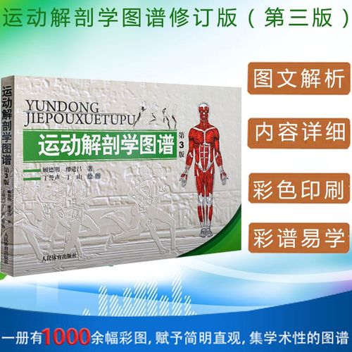 运动解剖学图谱修订第3版 人体解剖医学解刨书 体适能健身运动解刨学