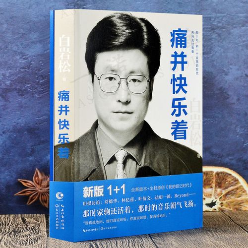 痛并快乐着白岩松人生哲理励志现当代随笔文学读物畅销书籍