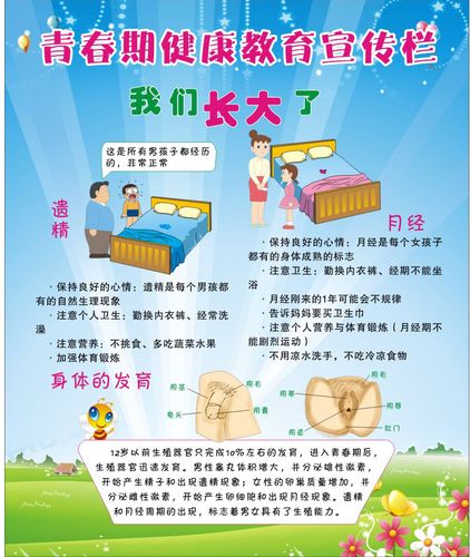 715海报印制展板写真喷绘贴纸986青春期宣传栏4遗精和月经