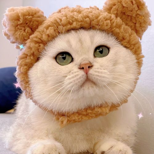 宠物猫帽子可爱新年毛绒猫咪头套英短小型犬狗狗拍照头饰变0114z