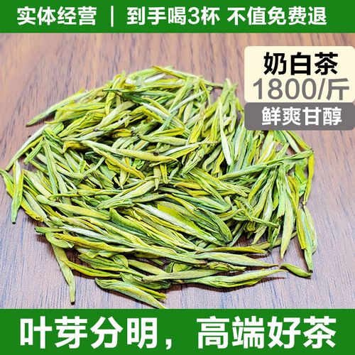 奶白茶-1800/斤桂家茶业新茶优选奶白茶黄金色甘醇鲜爽高端茶