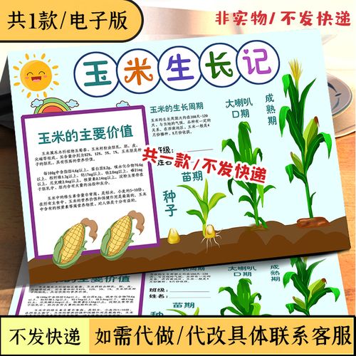 玉米生长记小报植物观察手抄报自然科学实验手抄报科普电子小报8k
